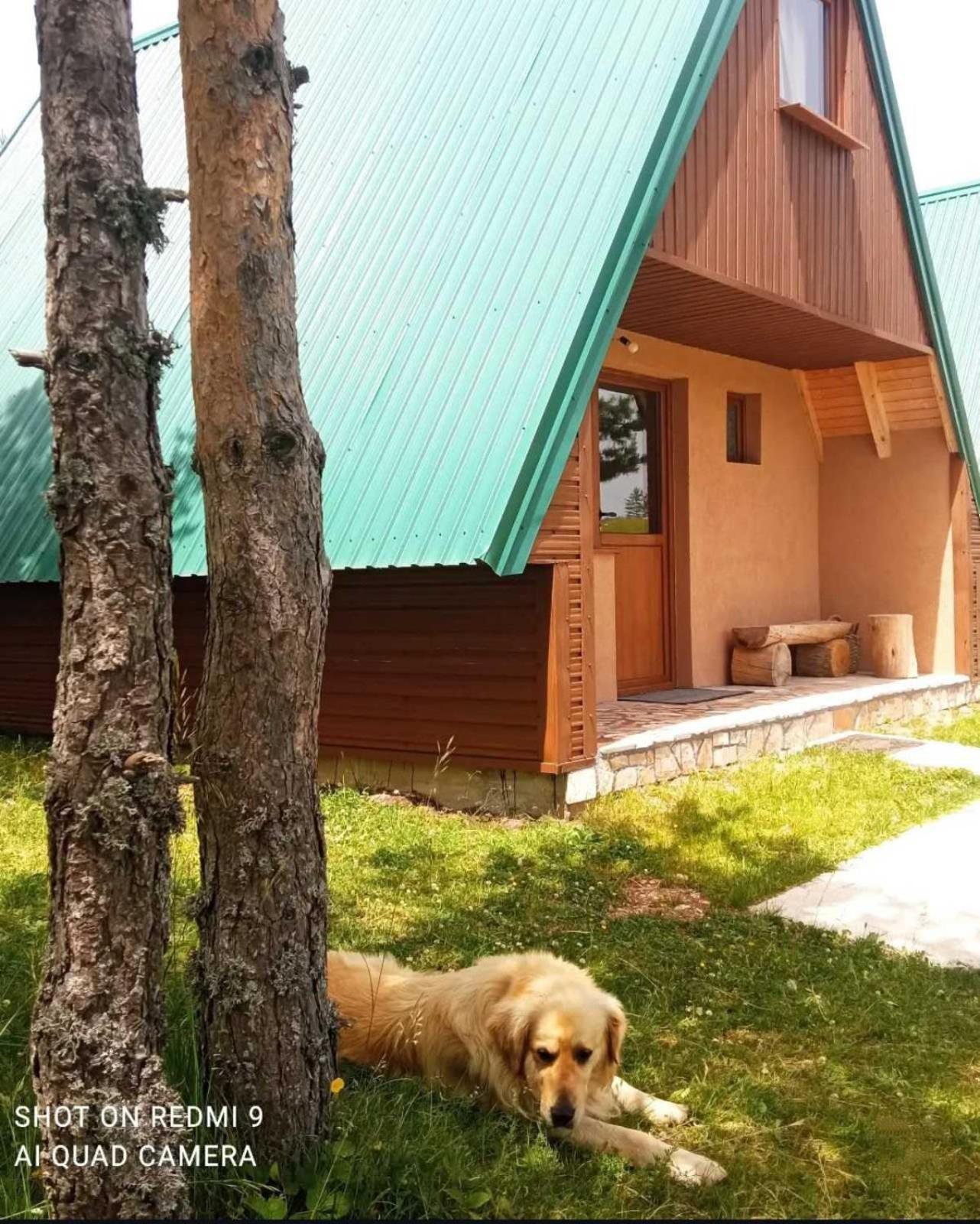 Vikendice Smolovic Villa Žabljak Dış mekan fotoğraf