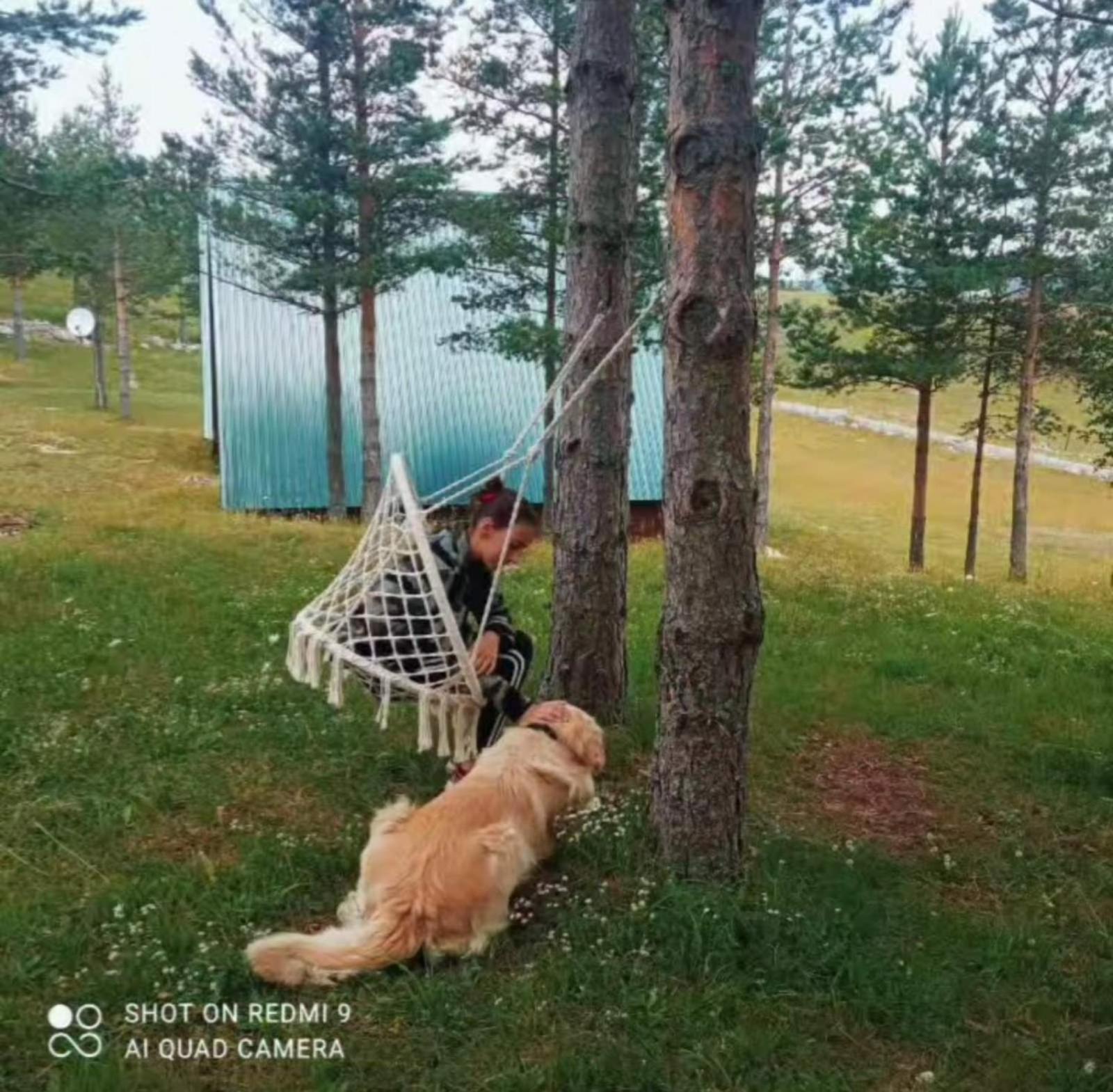 Vikendice Smolovic Villa Žabljak Dış mekan fotoğraf